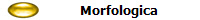 Morfologica
